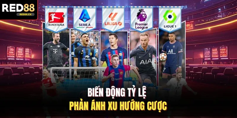 Biến động tỷ lệ phản ánh xu hướng cược