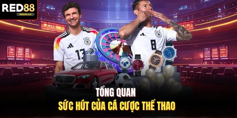 Tổng quan sức hút của cá cược thể thao